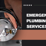 The Importance of Having a Reliable Same Day Plumber in Milton Keynes, UK